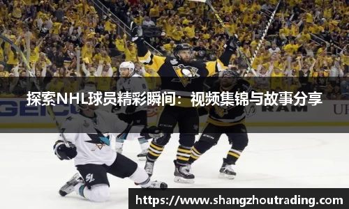 探索NHL球员精彩瞬间：视频集锦与故事分享